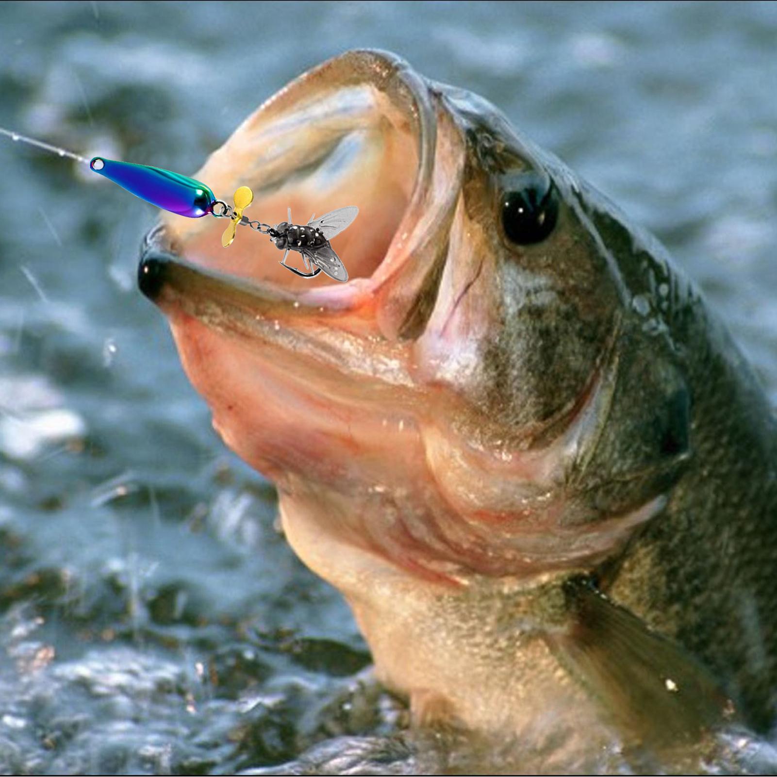 Fishing Spinner Baits Saltwate - đánh giá và giá Heavy Equipment Management